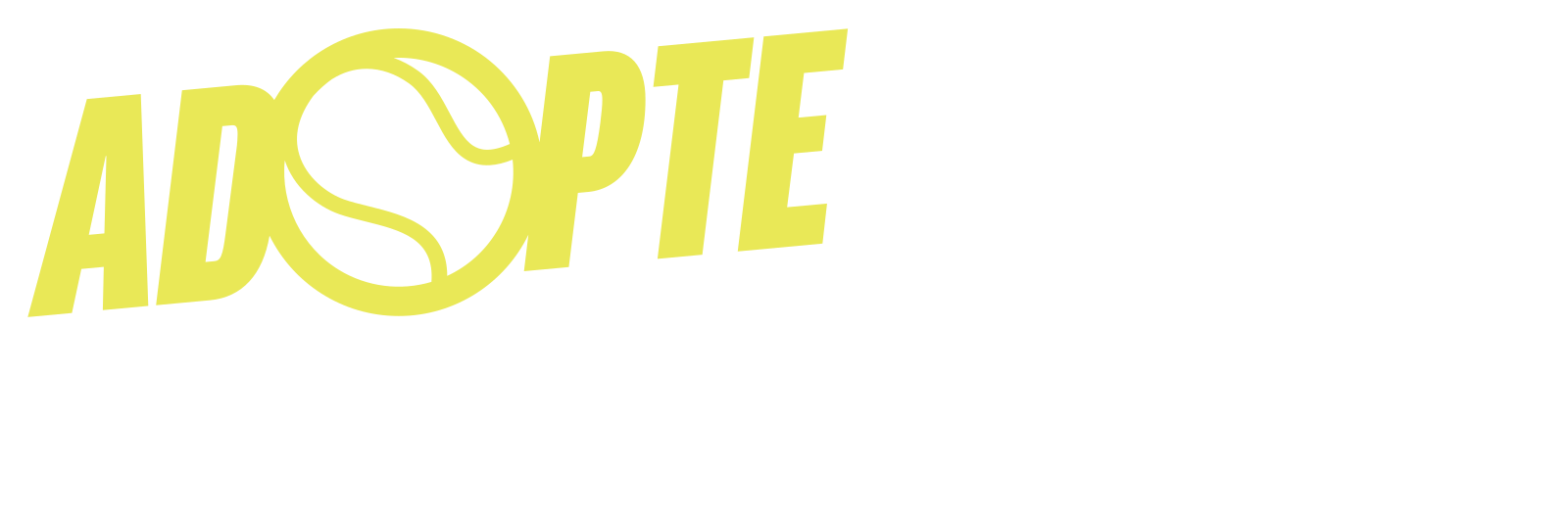 adopte un(e) padeliste.com